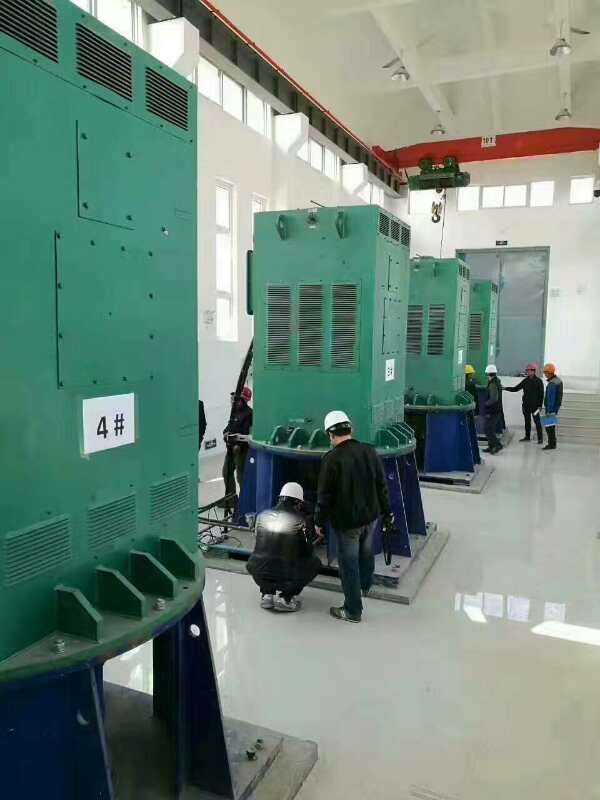 石碣镇某污水处理厂使用我厂的立式高压电机安装现场